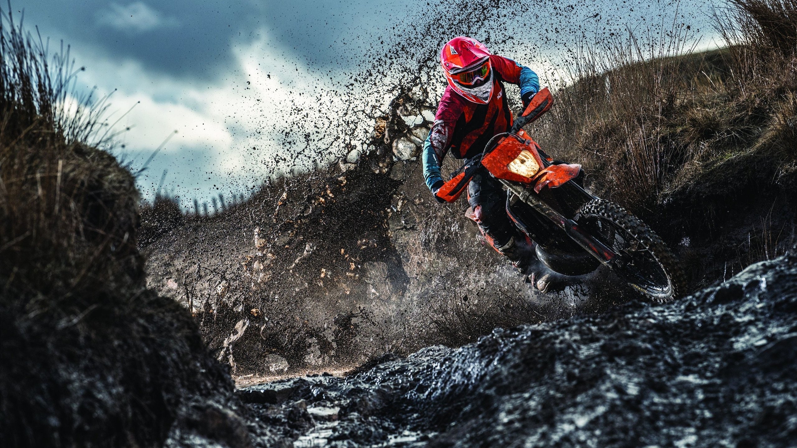 _春季花海：在花园中举行的浪漫赛事_，花海集锦