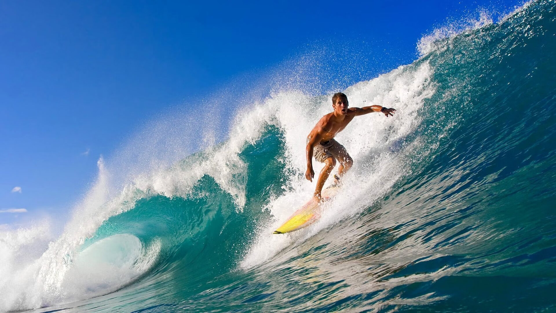 “智能未来:自动驾驶引领速度新体验”,自动驾驶造未来阅读答案